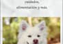 design professional ebook covers using canva and ai